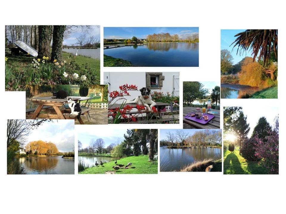 Le Sanctuaire Bed and Breakfast Missillac Buitenkant foto